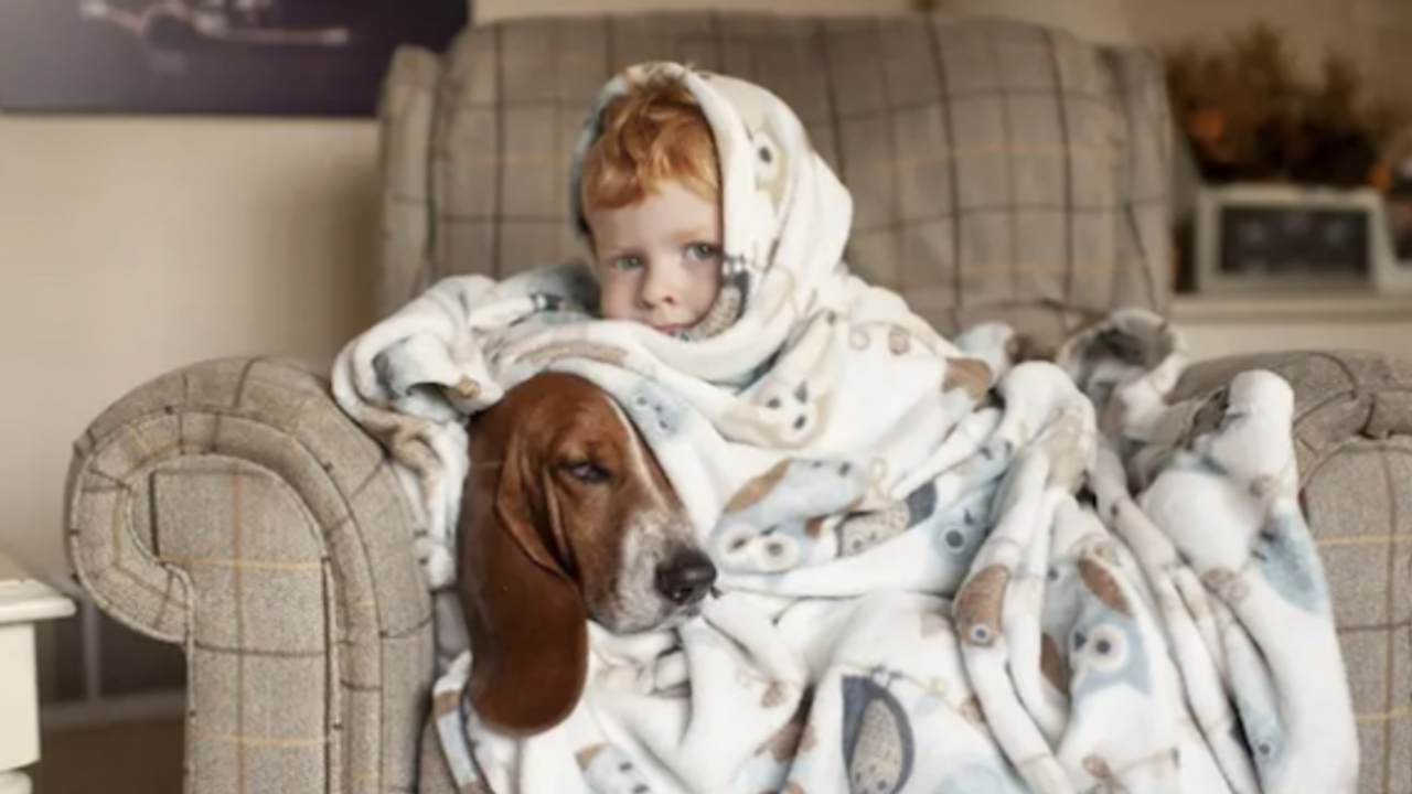 Tercih edilen oda sıcaklığı kişiden kişiye değişiklik gösterebiliyor